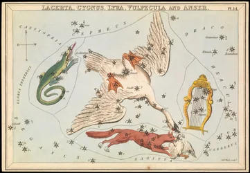 Lacerta, Cygnus, Lyra, Vulpecula en Anser, ca. 1825