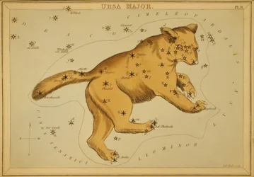 Grote Beer, Illustratie uit 