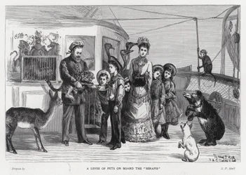 Koning Edward VII met gevangen wilde dieren aan boord van het troepenschip, de Serapis tijdens zijn bezoek aan India