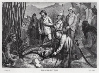 Koning Edward VII met de tijger die hij heeft gedood