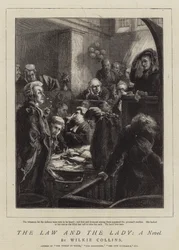 De Wet en de Dame, Een Roman