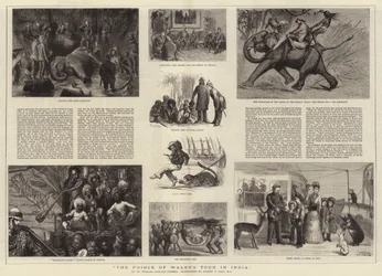 De tour van de Prins van Wales in India