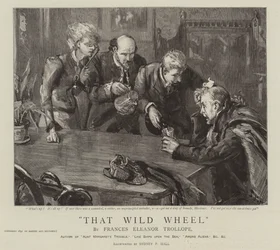Het wilde wiel