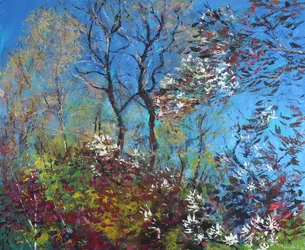 Bloesem en Blauwe Lucht