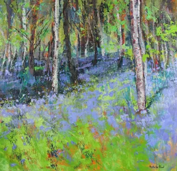 Blauwe Klokjes en Berken