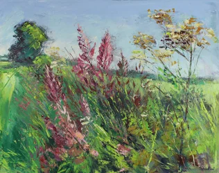 Landelijk Voetpad in de Vroege Zomer