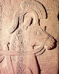 Detail van een paardenhoofd