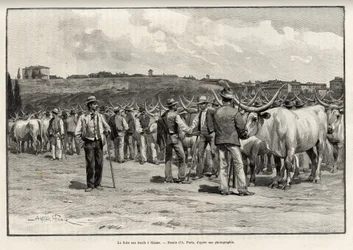De veemarkt in Siena (Italië). Gravure door Taylor ter illustratie van het verhaal 