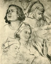 Studie van hoofden