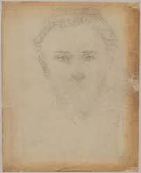 Portretstudie van een jonge man met baard