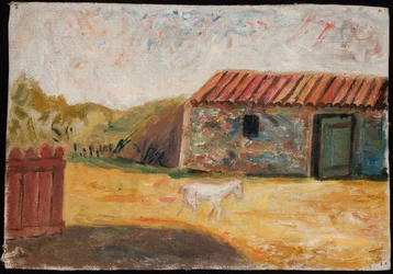 Landelijke boerderij met een wit veulen