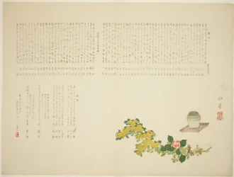 Wierookbrander. Chrysanten en camelia