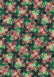 Tropische Palm