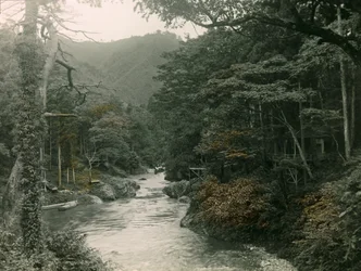Herfstbos in de Yamanaka regio, circa 1900 - 1915 (foto)