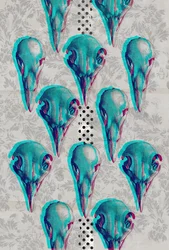 Serie van schedels, 2016