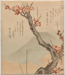 Pruimenboom met de Berg Fuji