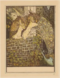 Twee uilen op een muur