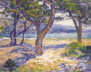 De Middellandse Zee bij Le Lavandou