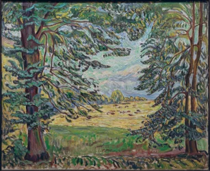 Grazende Koeien