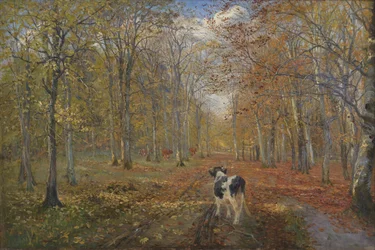 Een weg in Dyrehaven. Herfst
