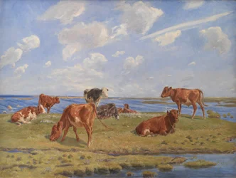 Kalveren aan het strand