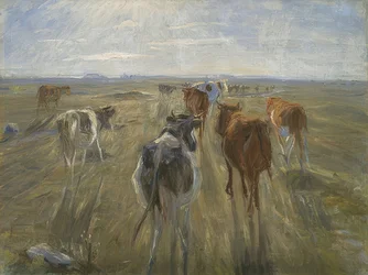 Lange schaduwen. Koeien op het eiland Saltholm. Omstreeks 1890
