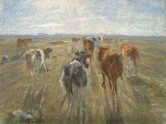 Lange schaduwen. Runderen op het eiland Saltholm