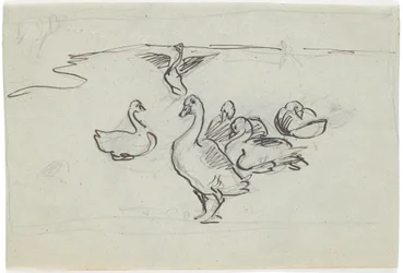 Studie van Ganzen