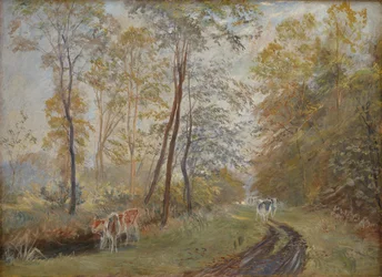 De rivier Sorteaa bij Mejlgaard Manor, Jutland