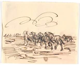 Dravende paarden
