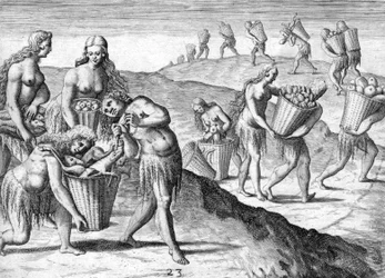 Stam van de Timucua Indianen