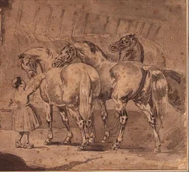 Klein meisje dat paarden voert in een stal
