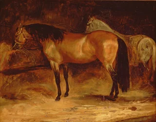 Een bruine hengst bij een voerbak, met een grijs paard in een deken