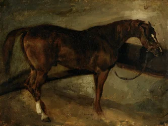 Bruin paard