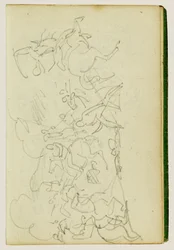 Cavaleriegevecht