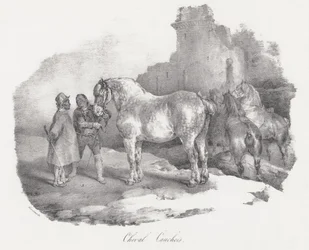Cheval Cauchois (een inheems paardenras uit Caux, Normandië)