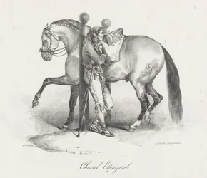 Spaans paard (A Spanish Horse)