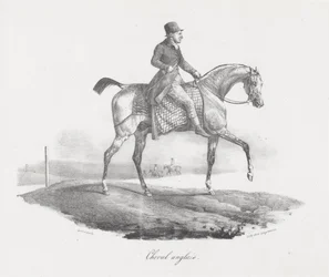 Engels paard (An English Horse)