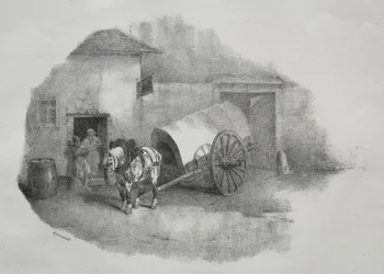 Karpaard uit de Limons