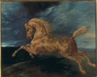 Paard verschrikt door de bliksem