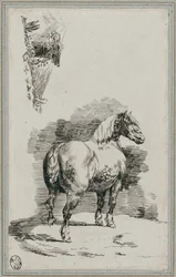 Grijs-gevlekt paard (A Dapple-Gray Horse)