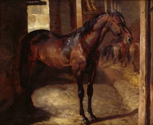 Donkerbruin paard in de stal