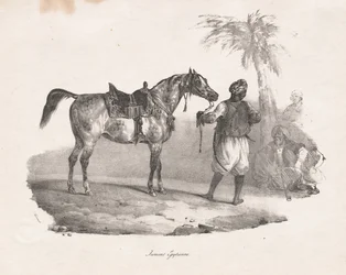 Egyptische Merrie, 1822
