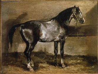 Grijs paard bij de Ratelier