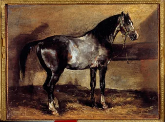 Grijs paard bij de voederbak Schilderij door Théodore Géricault (1791-1824) 19e eeuw