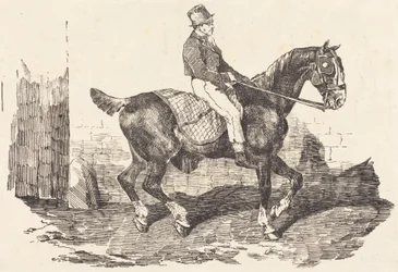 Groom op een koetspaard (Cheval de carrosse monte par un palfrenier)