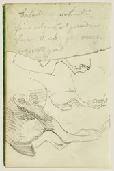 Paardenstudies