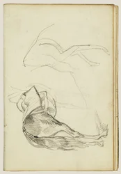 Paardenstudies