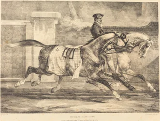 Paarden Oefenen