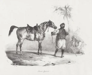 Egyptische merrie (An Egyptian Mare)